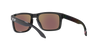 Men's/Women's Oakley Holbrook Polarized Sunglasses