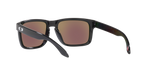 Men's/Women's Oakley Holbrook Polarized Sunglasses