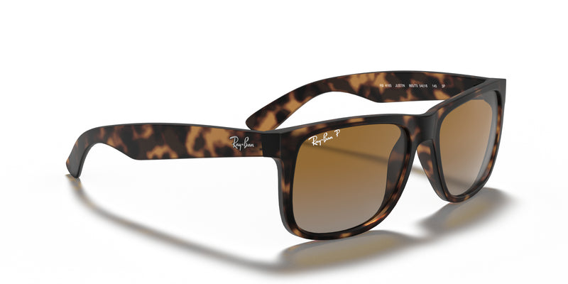 Ray-Ban Justin Sunglasses