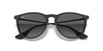 Ray-Ban Erika Sunglasses