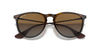 Ray-Ban Erika Sunglasses
