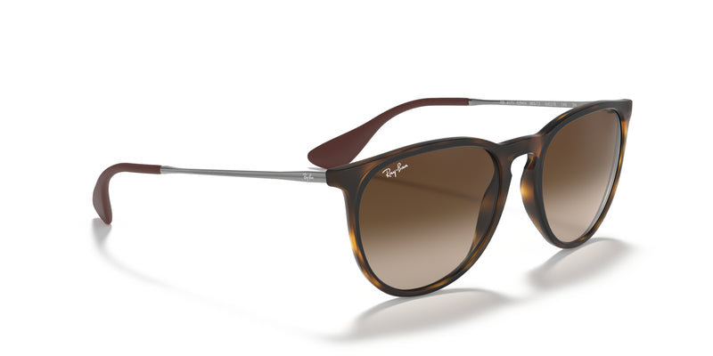 Ray-Ban Erika Sunglasses