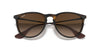 Ray-Ban Erika Sunglasses