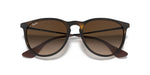 Ray-Ban Erika Sunglasses