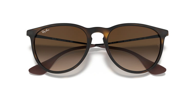 Ray-Ban Erika Sunglasses