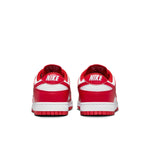 Women's Nike Dunk Low Next Nature