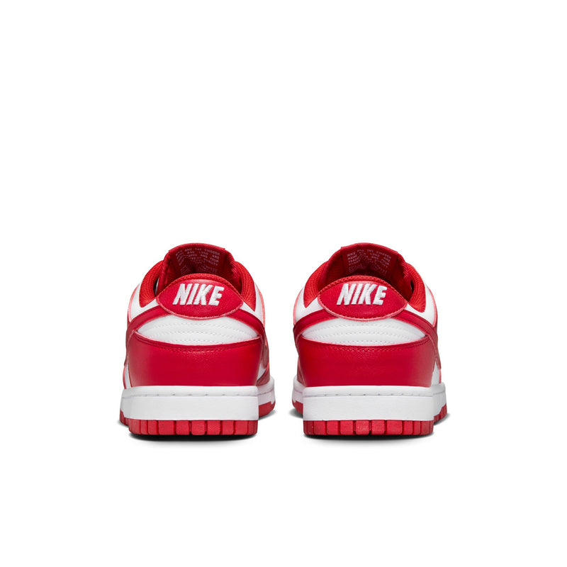 Women's Nike Dunk Low Next Nature