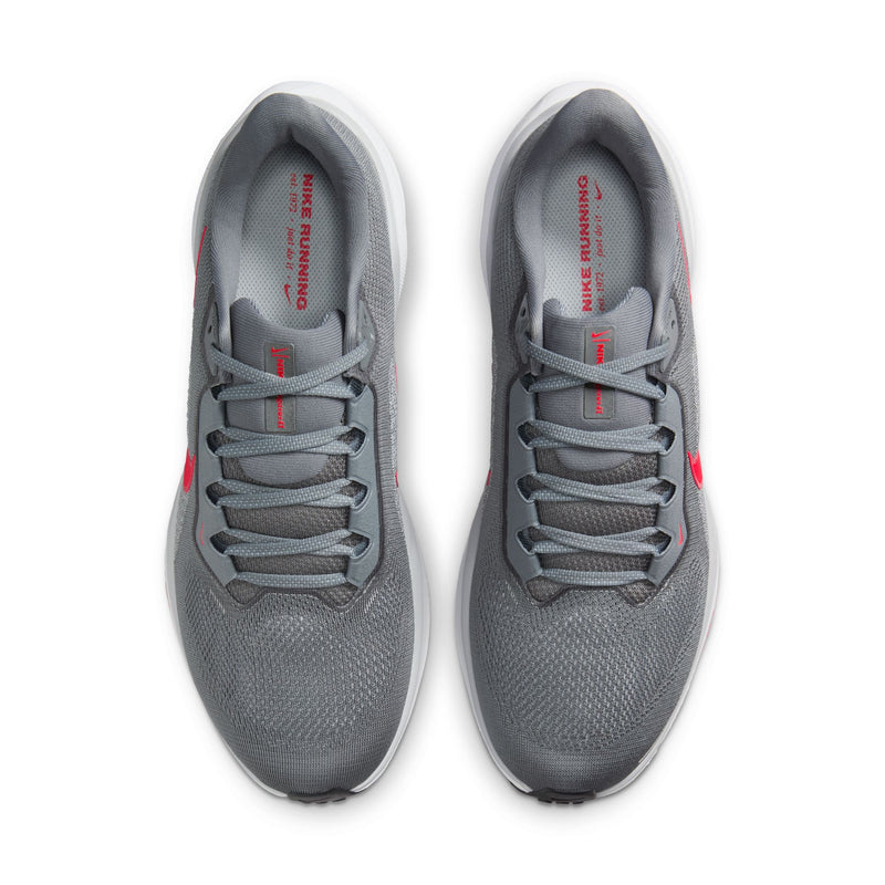 Men's Nike Pegasus 41
