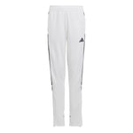 Boys' Adidas Youth Tiro 23 Pant - WHITE