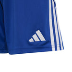 Boys' Adidas Youth Tiro 24 Short - ROYAL