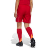 Boys'/Girls' Adidas Youth Tiro 25 Short - RED