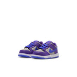 Boys'/Girls' Nike Toddler Dunk Low - 007 - GREY