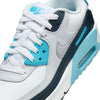Boys'/Girls' Nike Youth Air Max 90 - 100 - WHITE