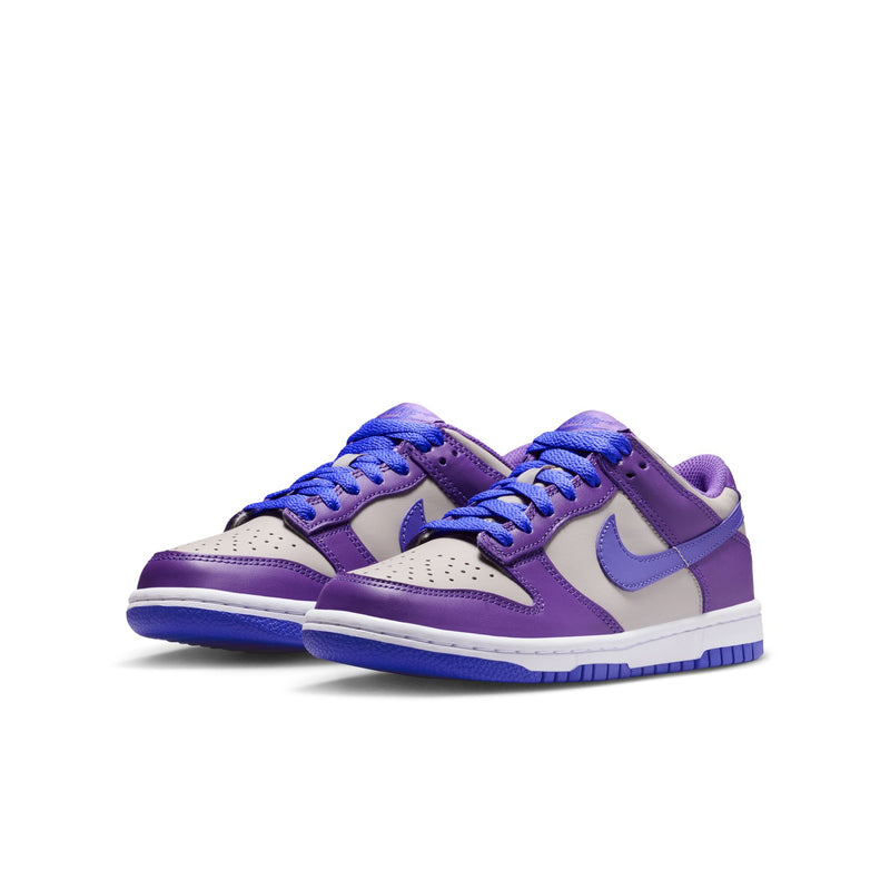 Boys'/Girls' Nike Youth Dunk Low - 007 - GREY