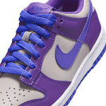 Boys'/Girls' Nike Youth Dunk Low - 007 - GREY