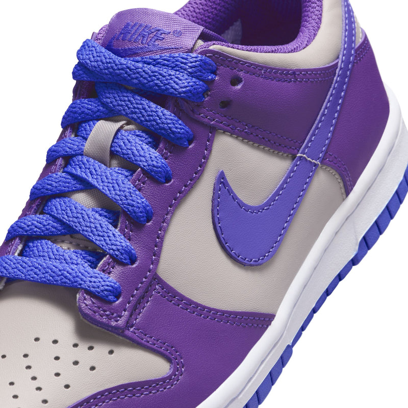 Boys'/Girls' Nike Youth Dunk Low - 007 - GREY
