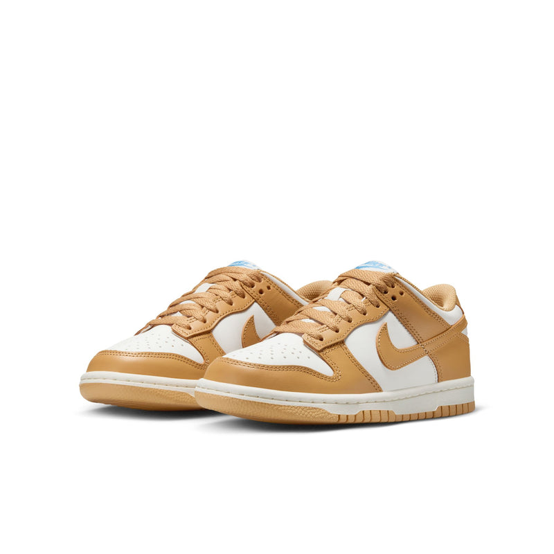 Boys'/Girls' Nike Youth Dunk Low - 700 HONY