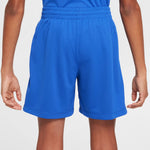 Boys' Nike Youth Dri-Fit Multi Short - 480 ROYL