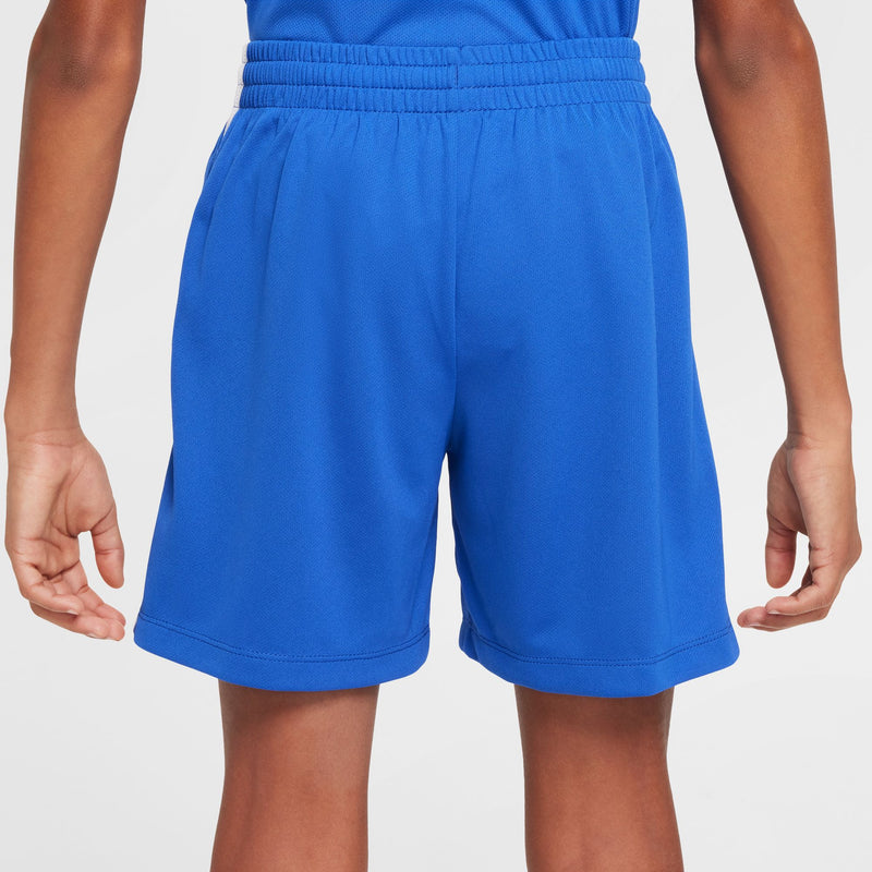 Boys' Nike Youth Dri-Fit Multi Short - 480 ROYL