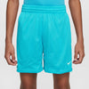 Boys' Nike Youth Multi Sport Short - 345 - DUSTY CACTUS
