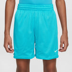 Boys' Nike Youth Multi Sport Short - 345 - DUSTY CACTUS