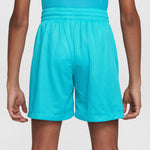 Boys' Nike Youth Multi Sport Short - 345 - DUSTY CACTUS