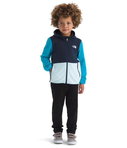 Boys' The North Face Toddler Glacier Full-Zip Hoodie - DIC