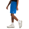 Boys' The North Face Youth Never Stop Short - T4S BLUE