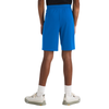 Boys' The North Face Youth Never Stop Short - T4S BLUE