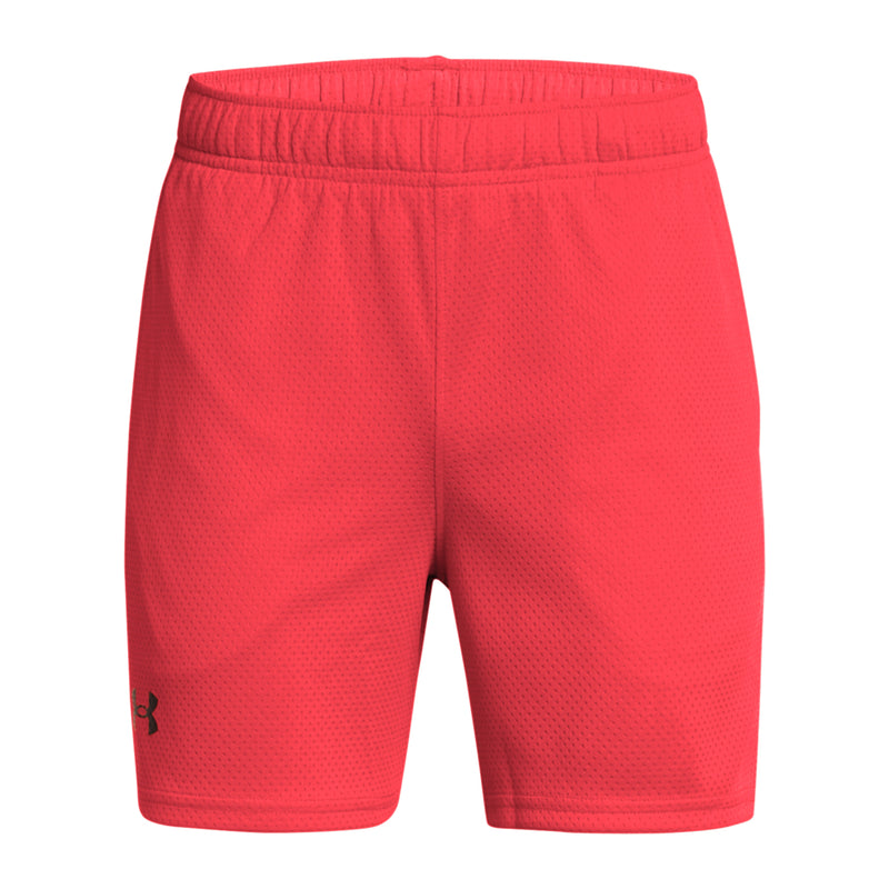 Boys' Under Armour Youth Tech Mesh Shorts - 713