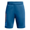 Boys' Under Armour Youth Tech Wordmark Short - 406 PHOT