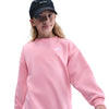 Girls'/Boys' Nike Youth Club Fleece Oversized Sweatshirt - 690 - SOFT PINK
