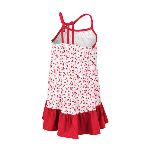 Girls' Nebraska Huskers Toddler Robin Floral Dress - NEBRASKA