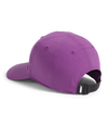 Girls' The North Face Kids Horizon Hat - AI2 GRAP