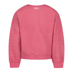 Girls' Under Armour Toddler Rival Sparkle Sweatshirt - 657 SPNK