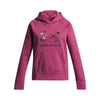 Girls' Under Armour Youth Rival Big Logo Print Hoodie - 659