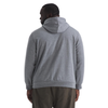 Men's The North Face Big Evolution Dome Hoodie - CQIGREY