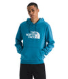 Men's The North Face Evolution Half Dome Hoodie - BOMDUSK