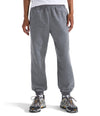 Men's The North Face Evolution Simple Dome Pant - CQIGREY