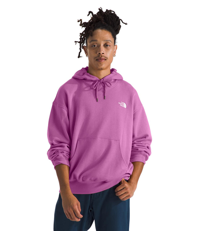 Men's The North Face Evolution Vintage Hoodie - 1I8DRGNF