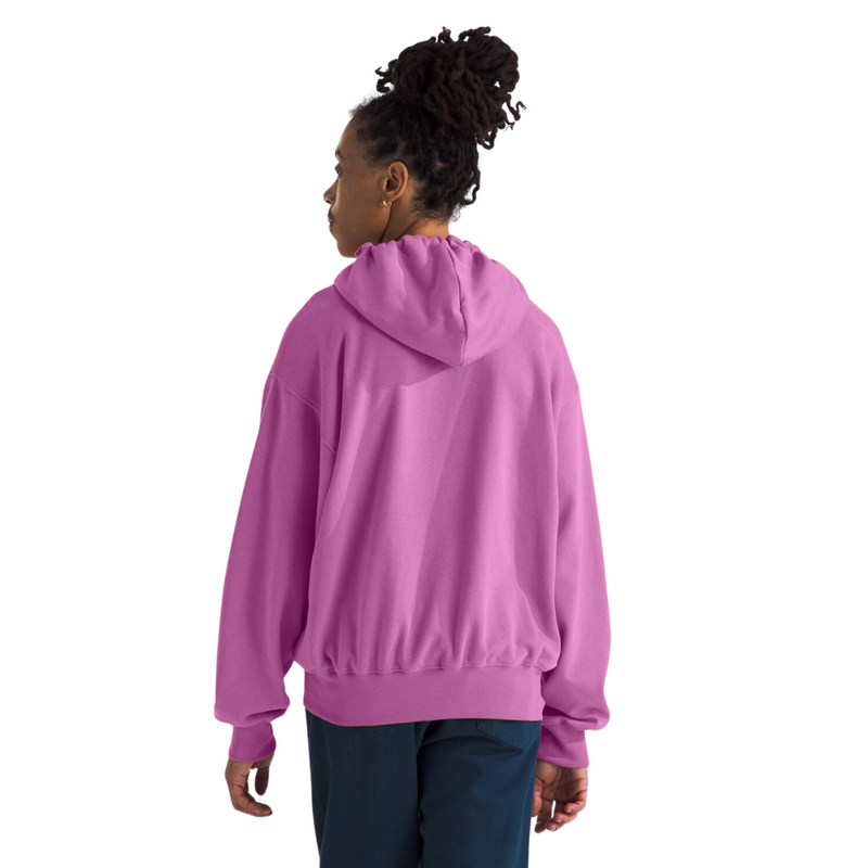 Men's The North Face Evolution Vintage Hoodie - 1I8DRGNF
