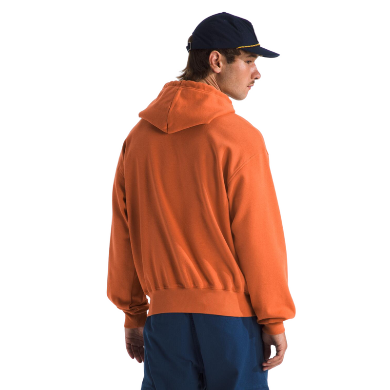 Men's The North Face Evolution Vintage Hoodie - 6IGBRONZ