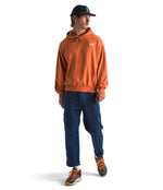 Men's The North Face Evolution Vintage Hoodie - 6IGBRONZ
