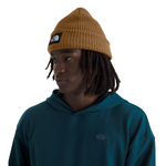 Men's The North Face Salty Lined Beanie - 173UBRWN