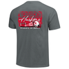 Men's/Women's Nebraska Huskers Memorabilia Saturdays T-Shirt - GRANITE