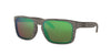 Men's/Women's Oakley Holbrook Polarized Sunglasses - WOOD/H2O