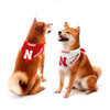 Nebraska Huskers Bandana Set - Home And Away - UNEB