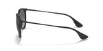 Ray-Ban Erika Sunglasses - R BLACK