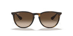Ray-Ban Erika Sunglasses - R HAVANA