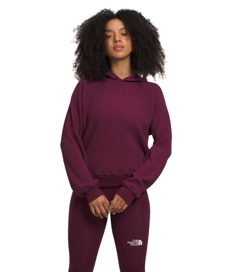 Women's The North Face Chabot Hoodie - 10HBOYSE